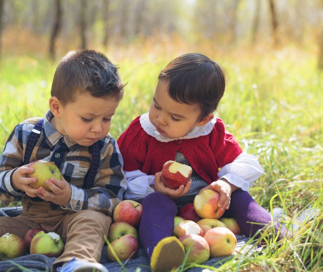 chronic illness in children - GMO's - GMOs - GM foods - GM foods and health - children's health - children's health food - kids health food - kids sickness food