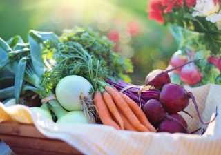 csa produce box - produce delivery - csa delivery - local farms - local food - fresh produce - fresh vegetables - cooking tips - cooking ideas