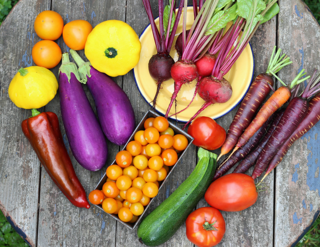 organic vegetable plants - vegetable starts - organic gardening - beginning organic gardening - how to start an organic garden - growing organic vegetables - organic vegetable starters - organic vegetable starts - organic gardening