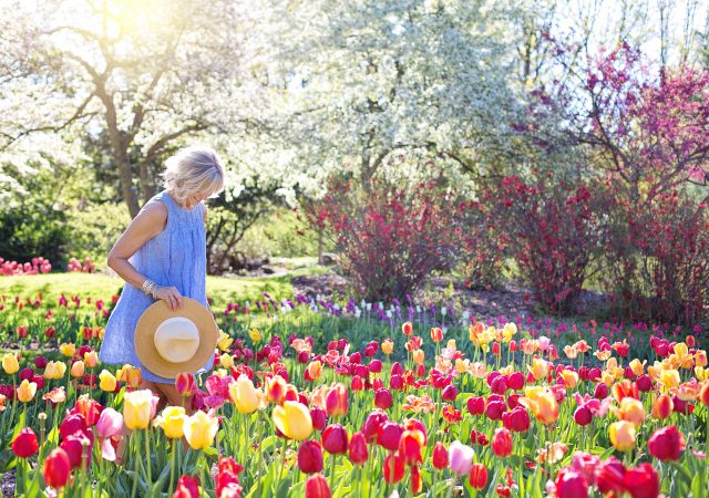 Quercetin - natural allergy remedies - allergies - treating allergies naturally - foods for allergies - foods for seasonal allergies - spring allergies
