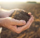 land and soil - widsom of nature - lessons from nature - lessons from soil - produce - health of soil