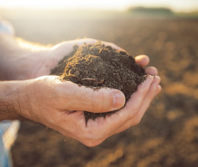 land and soil - widsom of nature - lessons from nature - lessons from soil - produce - health of soil