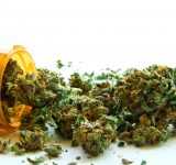 health benefits of cannabis - medical marijuana - medicinal marijuana - using cannabis safely - safe cannabis use - safe marijuana use - health benefits of pot