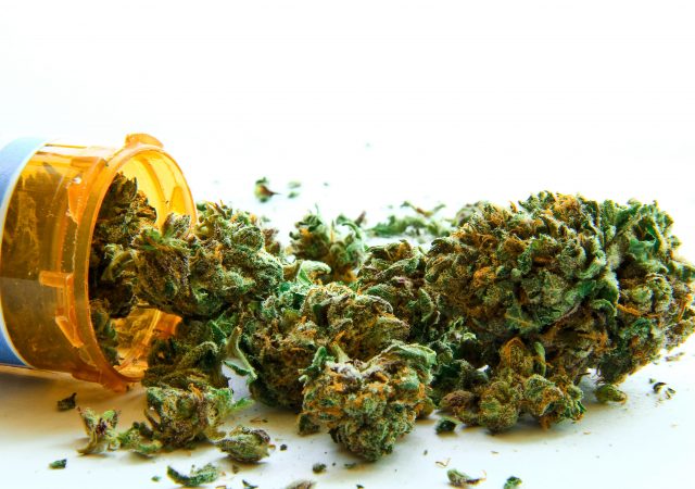health benefits of cannabis - medical marijuana - medicinal marijuana - using cannabis safely - safe cannabis use - safe marijuana use - health benefits of pot