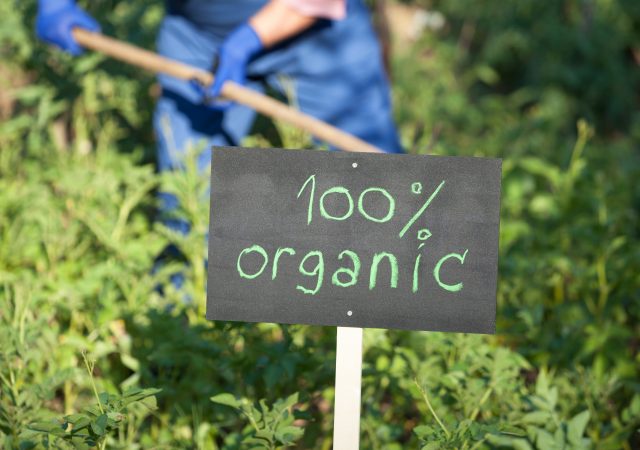 organic certification - organic labels - organic farming - organic products - organic food - organic agriculture