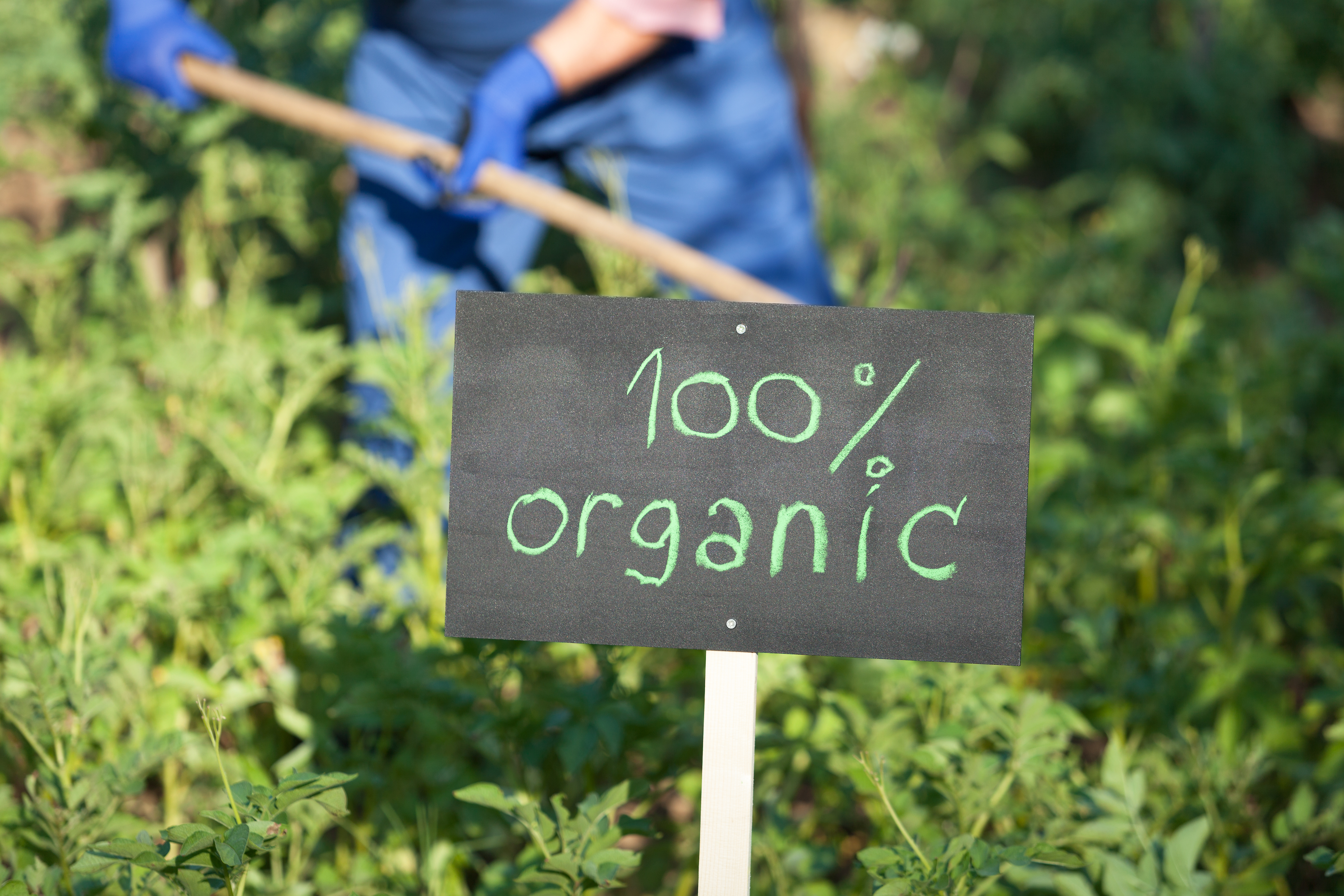 organic certification - organic labels - organic farming - organic products - organic food - organic agriculture