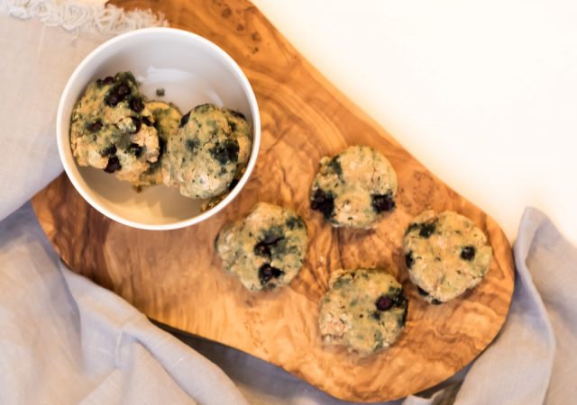 blueberry hemp dog cookies - superfood- gluten free - dairy free - dog treats - pet health - grain allergies - hypoallergenic