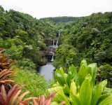 foodie adventure part III - hawaiian foodie adventure part III - hawaii - epic5 challenge - ultra-race - nutritionist - hawaiian islands - maui - big island - hilo - smoothies - local food - runners - running - race