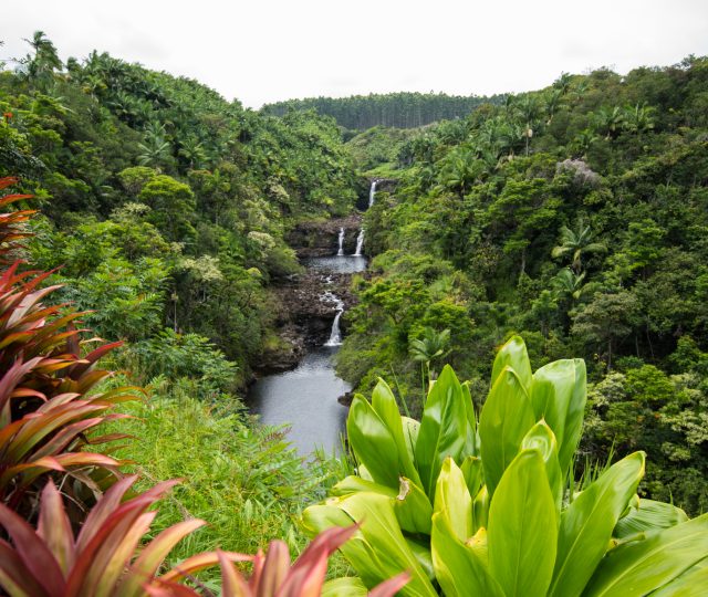 foodie adventure part III - hawaiian foodie adventure part III - hawaii - epic5 challenge - ultra-race - nutritionist - hawaiian islands - maui - big island - hilo - smoothies - local food - runners - running - race