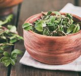 healthy pancreas - food as medicine - healthy eating - holistic health - organ health -metabolic functions - whole body - whole body health