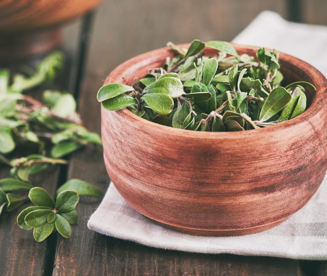 healthy pancreas - food as medicine - healthy eating - holistic health - organ health -metabolic functions - whole body - whole body health