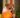 vitamin c supplements - vitamin c supplementation for dogs - pet health - dog health - dog vitamins - healthy pets - healthy dogs - holistic dogs - holistic pet health