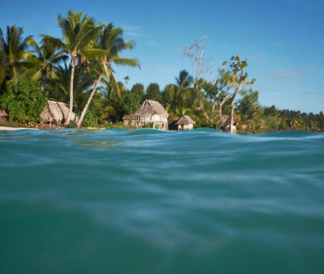 anote's ark - documentary - film - climate change - san francisco green film festival