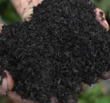 dirt rich - documentary - film - green film festival - san francisco filmmaker - soil - biodiversity - carbon - borneo - hawaii - costa rica - healthy land