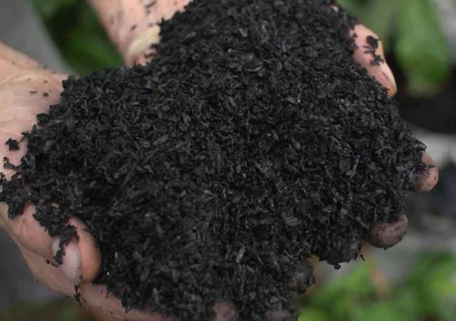 dirt rich - documentary - film - green film festival - san francisco filmmaker - soil - biodiversity - carbon - borneo - hawaii - costa rica - healthy land