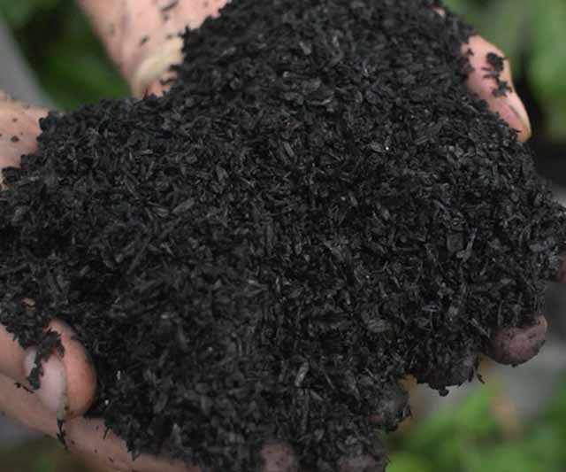 dirt rich - documentary - film - green film festival - san francisco filmmaker - soil - biodiversity - carbon - borneo - hawaii - costa rica - healthy land
