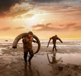 genesis - documentary - film - climate change - permafrost - global warming - bioenginering - wooly mammoths - dna - science - climate soultions