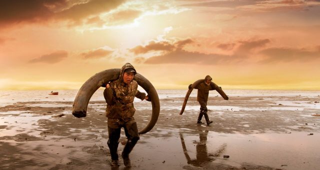 genesis - documentary - film - climate change - permafrost - global warming - bioenginering - wooly mammoths - dna - science - climate soultions