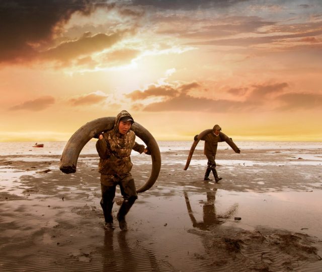 genesis - documentary - film - climate change - permafrost - global warming - bioenginering - wooly mammoths - dna - science - climate soultions