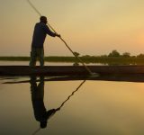 into the okavango - documentary - wetlands - water - conservation - wildlife - africa - green media - education - inspiration - helge hellberg - green film festival