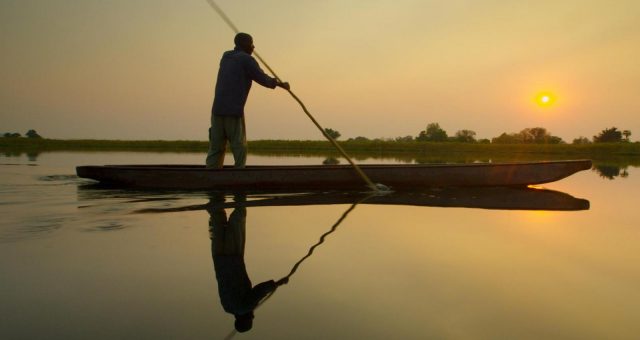 into the okavango - documentary - wetlands - water - conservation - wildlife - africa - green media - education - inspiration - helge hellberg - green film festival