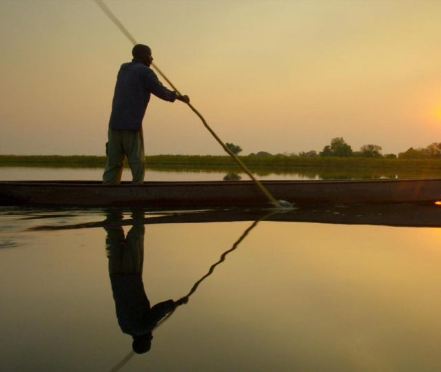 into the okavango - documentary - wetlands - water - conservation - wildlife - africa - green media - education - inspiration - helge hellberg - green film festival