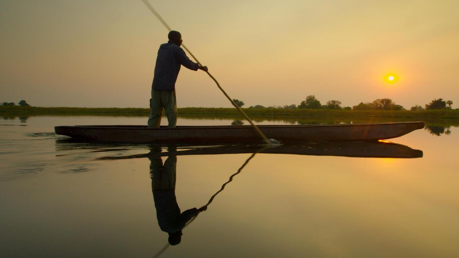 Жили Окаванго. Черри Окаванго. Новый Okavango.