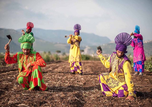 the harvest - documentary - musical - field workers - migrant workers - italy - india - punjab - workers rights - agriculture - food production - green media - green film festival - inspiration - education - an organic conversation - helge hellberg