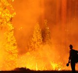 wilder than wild - climate change - fires - wildfires - northern california - bay area - san francisco - rim fire - education - inspiration - an organic conversation - green media - green film festival - helge hellberg