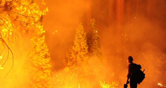 wilder than wild - climate change - fires - wildfires - northern california - bay area - san francisco - rim fire - education - inspiration - an organic conversation - green media - green film festival - helge hellberg