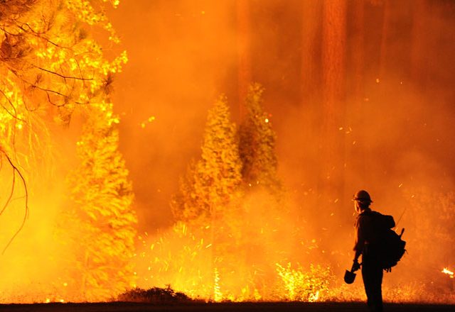 wilder than wild - climate change - fires - wildfires - northern california - bay area - san francisco - rim fire - education - inspiration - an organic conversation - green media - green film festival - helge hellberg