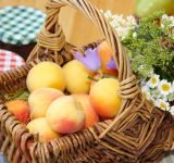 gift of produce - gifts - gift ideas - seasonal produce - fruit - inspiration - whats in season - an organic conversation - helge hellberg - earls organic