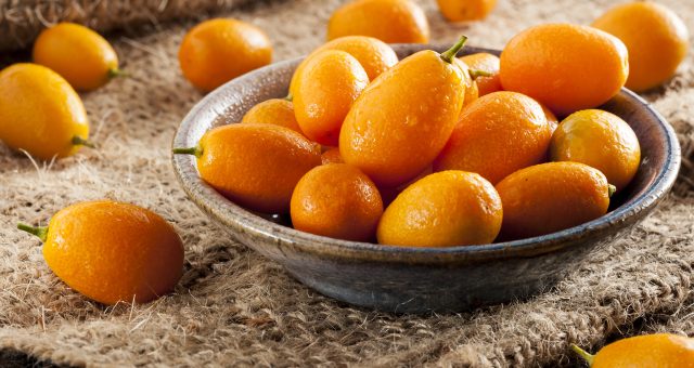 kumquat - citrus fruit - seasonal - organic fruit - an organic conversation - helge hellberg - education - inspiration - green living - green media