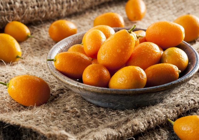 kumquat - citrus fruit - seasonal - organic fruit - an organic conversation - helge hellberg - education - inspiration - green living - green media