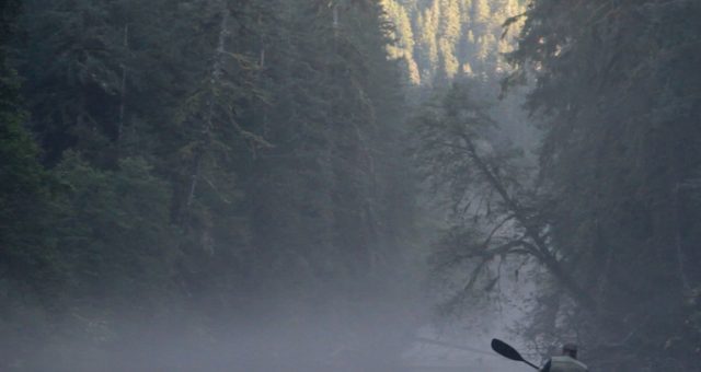 guardian - documentary - canadian government - waterways - salmon - enviornmental protection - ecology - an organic conversation - helge hellberg - education - inspiration - green media - green living