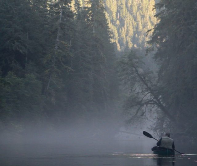 guardian - documentary - canadian government - waterways - salmon - enviornmental protection - ecology - an organic conversation - helge hellberg - education - inspiration - green media - green living