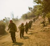 wildland - fire fighters - wildfires - california fires - an organic conversation - helge hellberg - education - inspiration - green media - green living - documentary - sf indie film festival