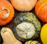 guide to winter squash - winter squash - pumpkins - organic - organic fruit - whats in season - seasonal - an organic conversation - helge hellberg - education - inspiration - green living - green media