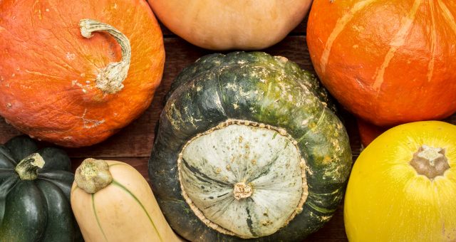 guide to winter squash - winter squash - pumpkins - organic - organic fruit - whats in season - seasonal - an organic conversation - helge hellberg - education - inspiration - green living - green media