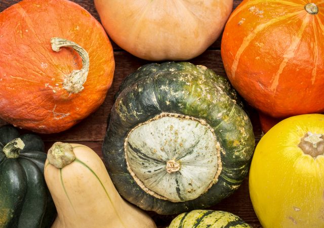 guide to winter squash - winter squash - pumpkins - organic - organic fruit - whats in season - seasonal - an organic conversation - helge hellberg - education - inspiration - green living - green media