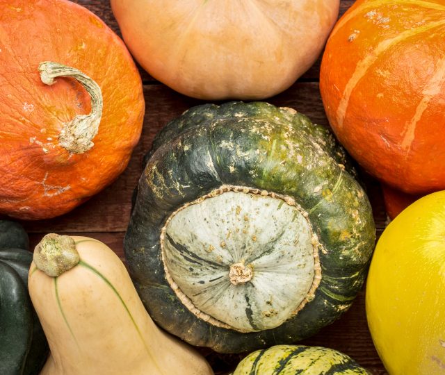 guide to winter squash - winter squash - pumpkins - organic - organic fruit - whats in season - seasonal - an organic conversation - helge hellberg - education - inspiration - green living - green media